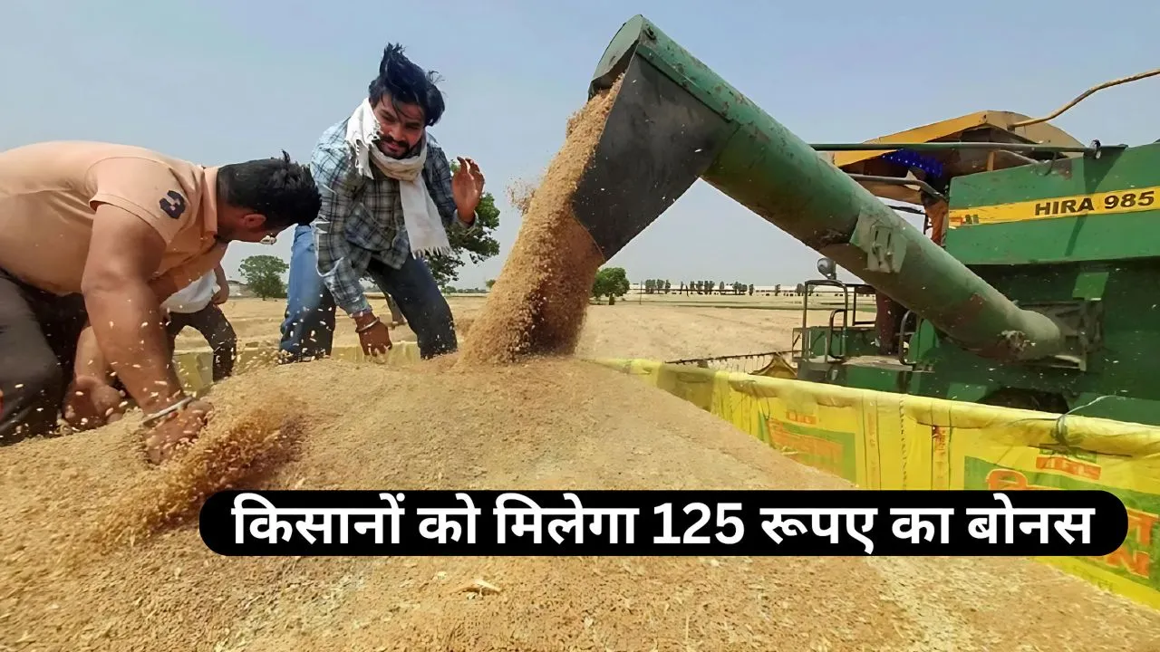Madhya Pradesh government will give farmers a bonus of Rs 125 on wheat purchase, Farmer Union President expressed displeasure