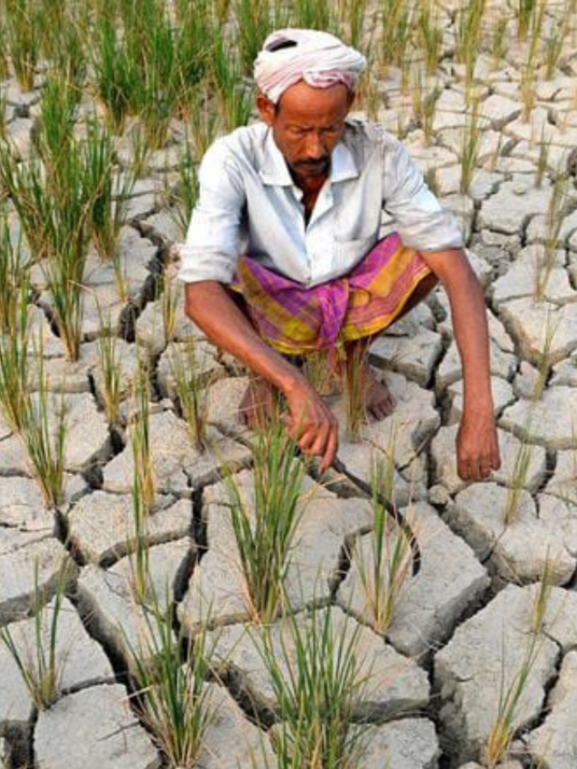 किसान गर्मी में करें इन 4 फसलों की खेती