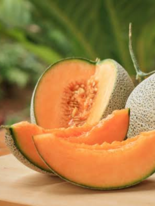 गर्मियों में खुद को रखना है तरोताजा तो घर पर ऐसे उगाए खरबूजे!