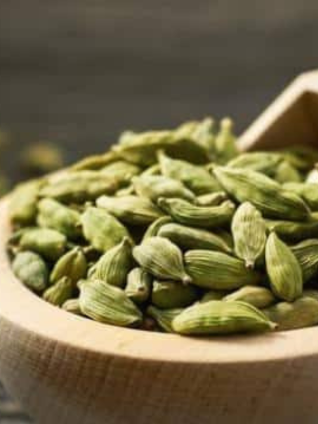 इलायची की खेती से होगी बंपर कमाई जाने पूरा प्रोसेस