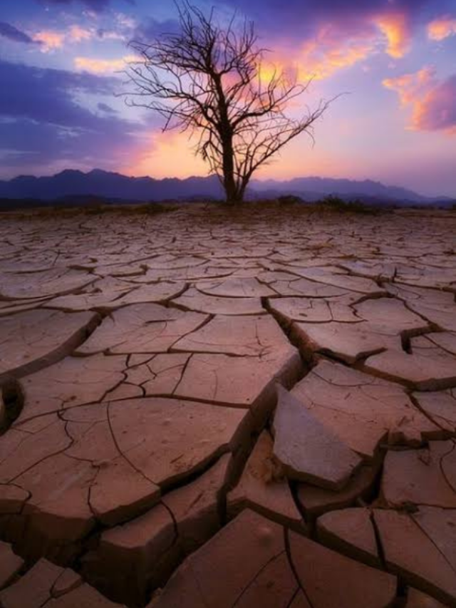 बंजर जमीन से भी कमा सकेंगे मुनाफा, उगाए ये फसलें
