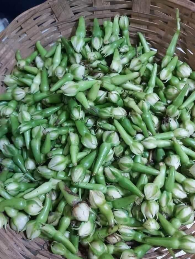 घर पर आसानी से उगाया जा सकता है लौंग का पौधा, फॉलो करें ये tips