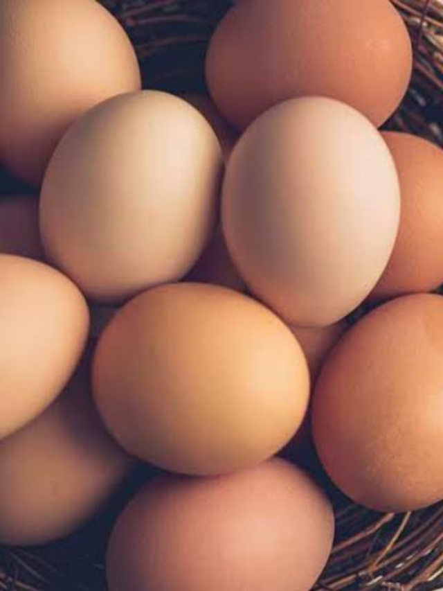 अब गर्मी में भी एक महीने तक नहीं खराब होगा अंडा, जाने कैसे