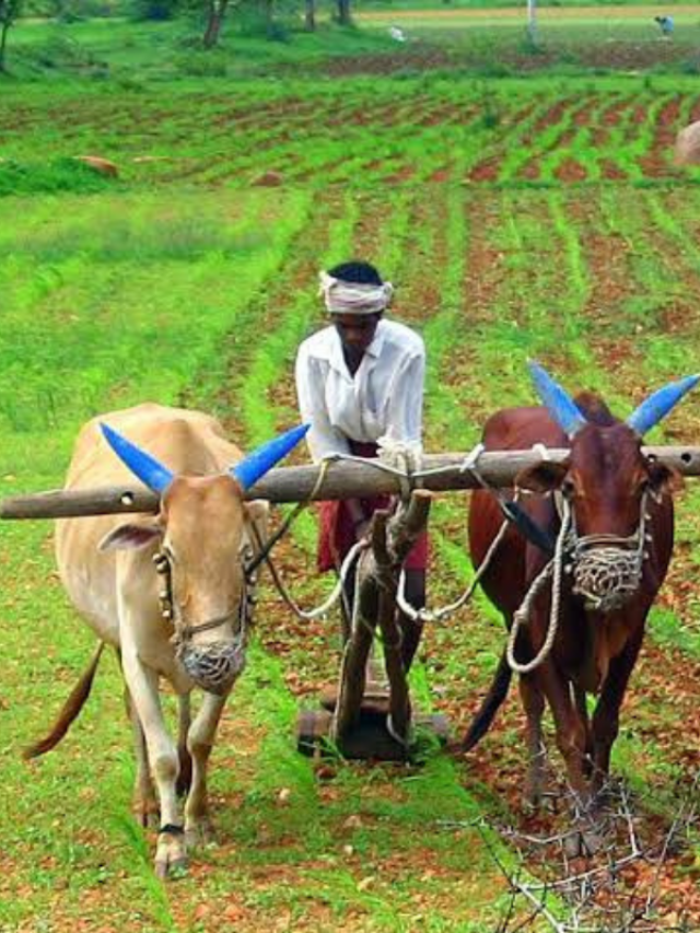 अप्रैल माह में करने इन टॉप 6 फसलों की खेती, होगी बंपर कमाई